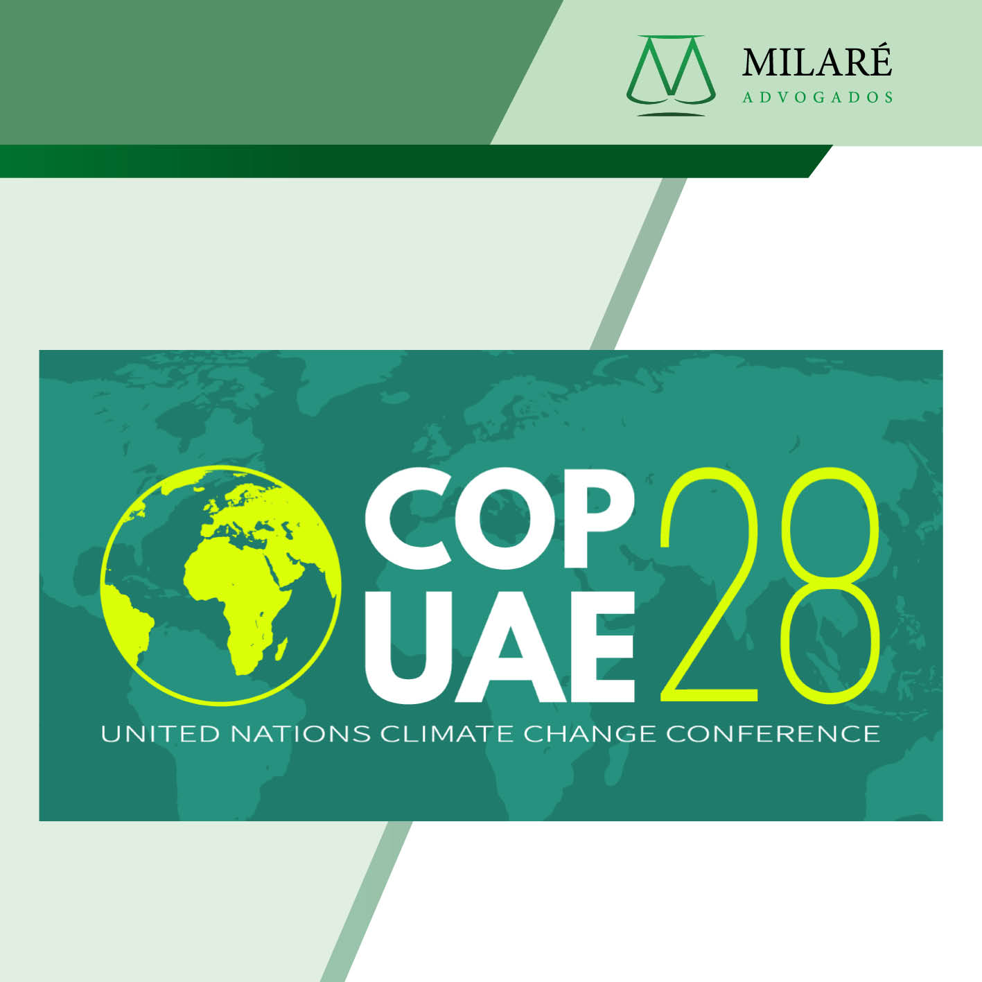 COP 28: Como as marcas podem se preparar para 2025?